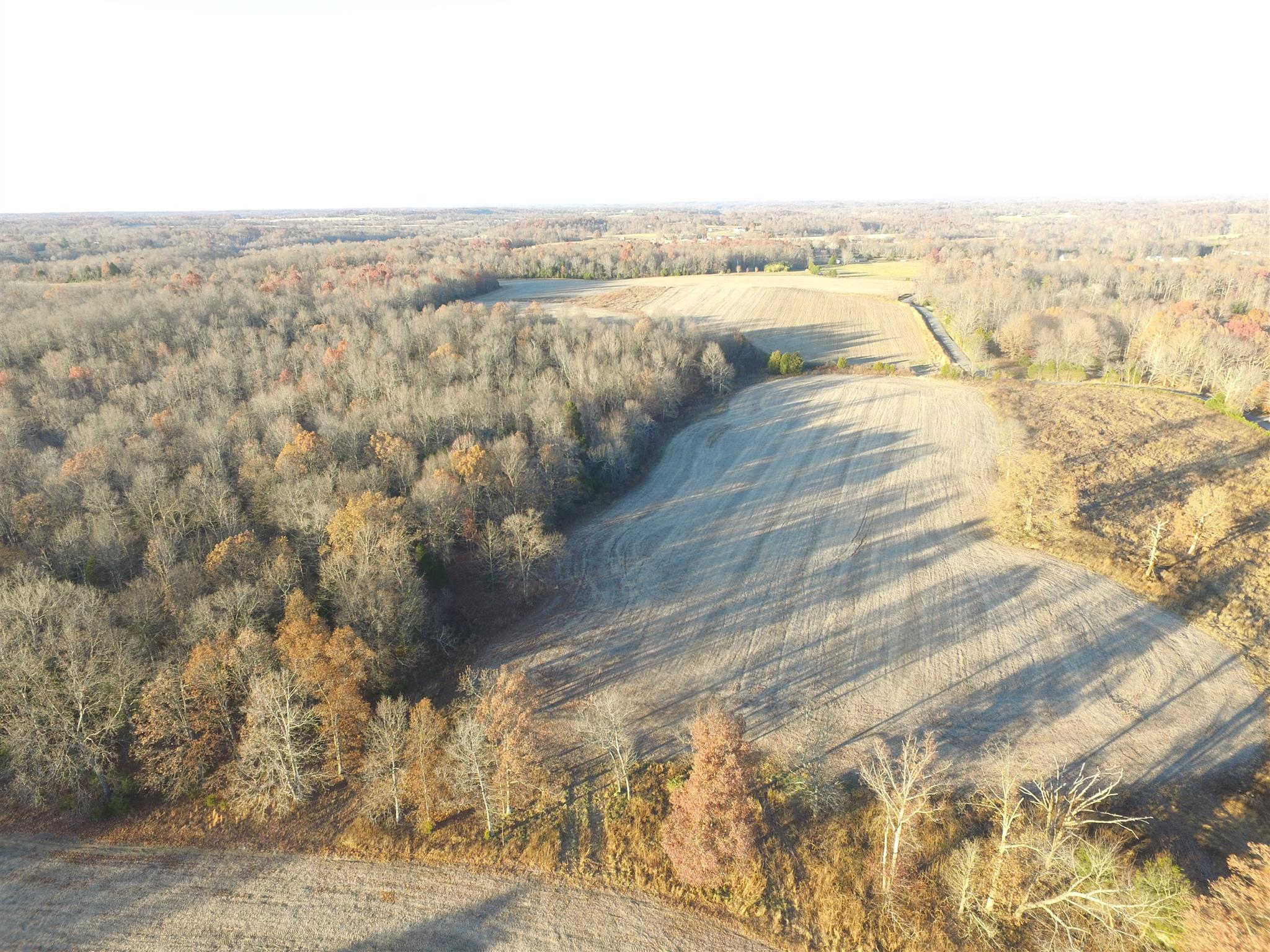 265 Pea Ridge Road Westmoreland, TN 37186 - Photo 12 of 19 Gallery Image 12