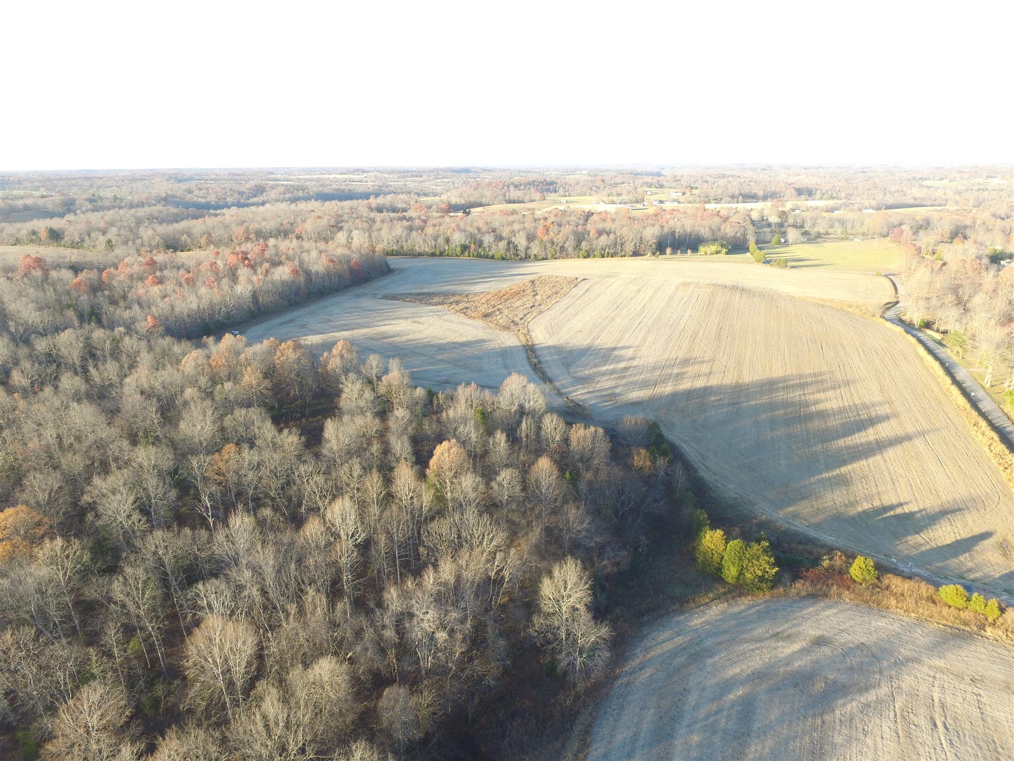 265 Pea Ridge Road Westmoreland, TN 37186 - Photo 13 of 19 Gallery Image 13