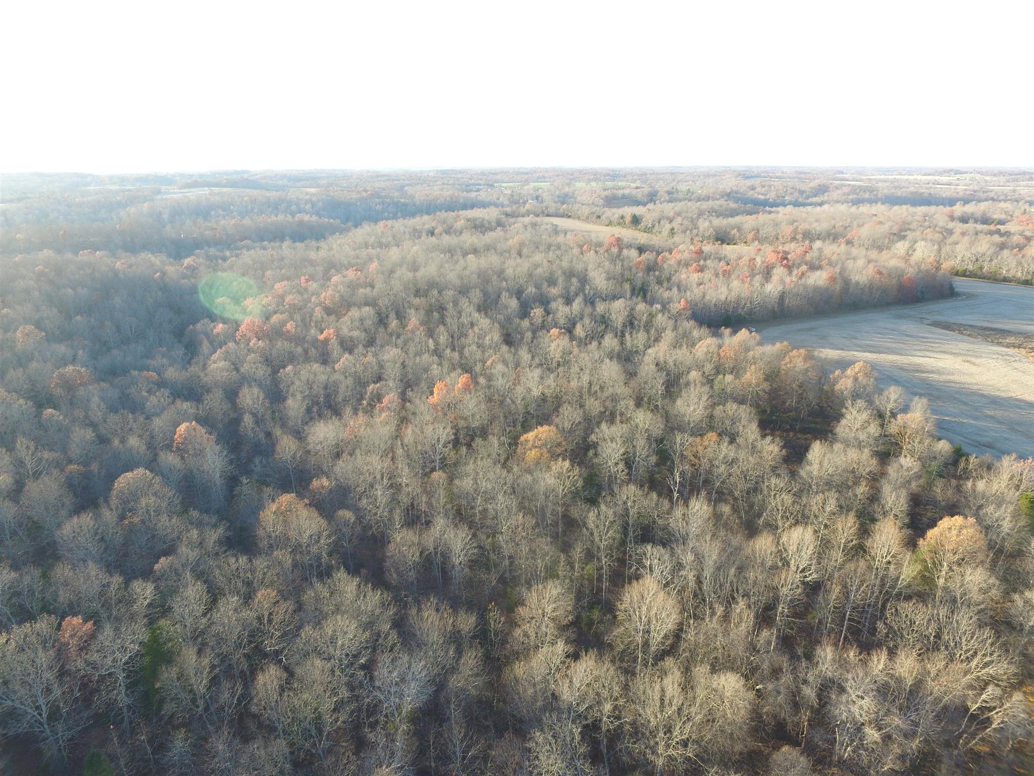265 Pea Ridge Road Westmoreland, TN 37186 - Photo 14 of 19 Gallery Image 14
