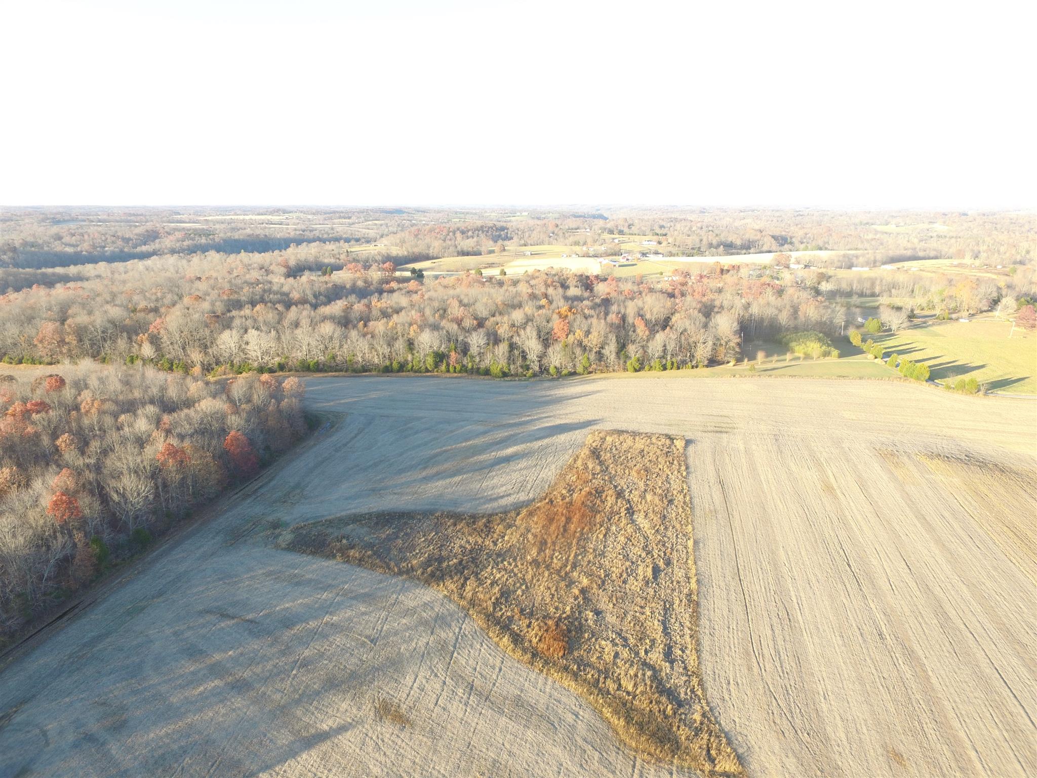 265 Pea Ridge Road Westmoreland, TN 37186 - Photo 16 of 19 Gallery Image 16