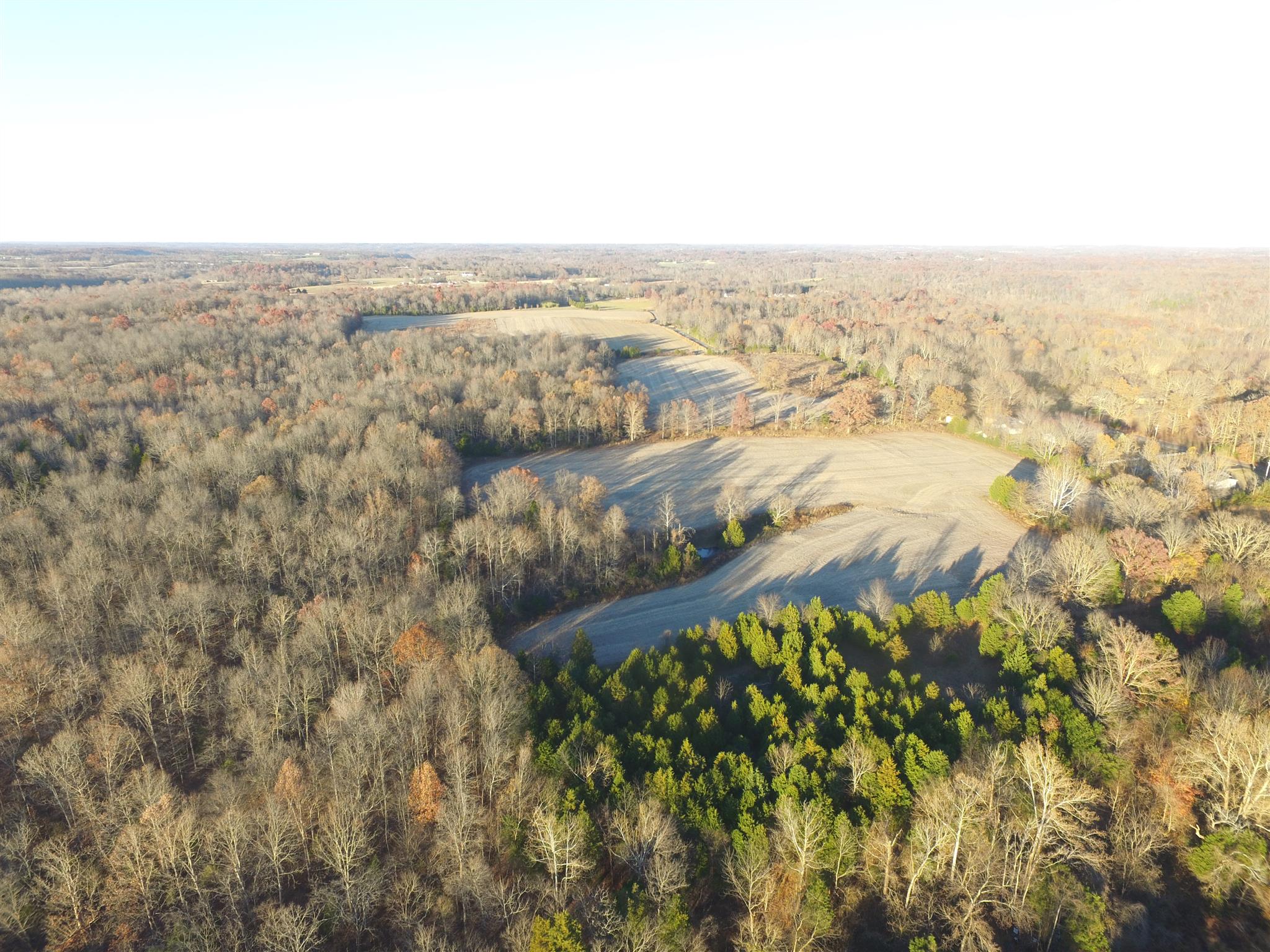 265 Pea Ridge Road Westmoreland, TN 37186 - Photo 18 of 19 Gallery Image 18