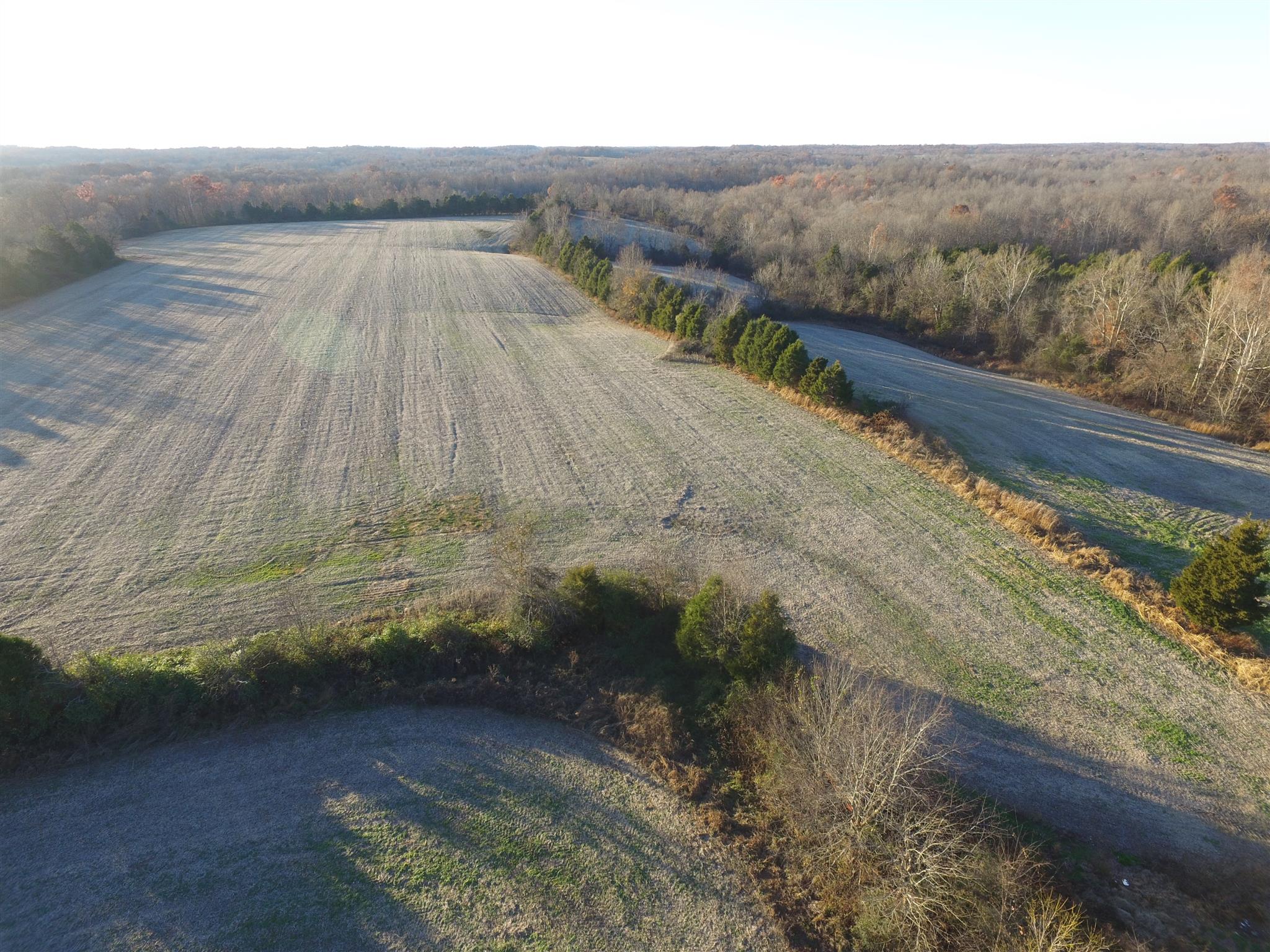 265 Pea Ridge Road Westmoreland, TN 37186 - Photo 7 of 19 Gallery Image 7