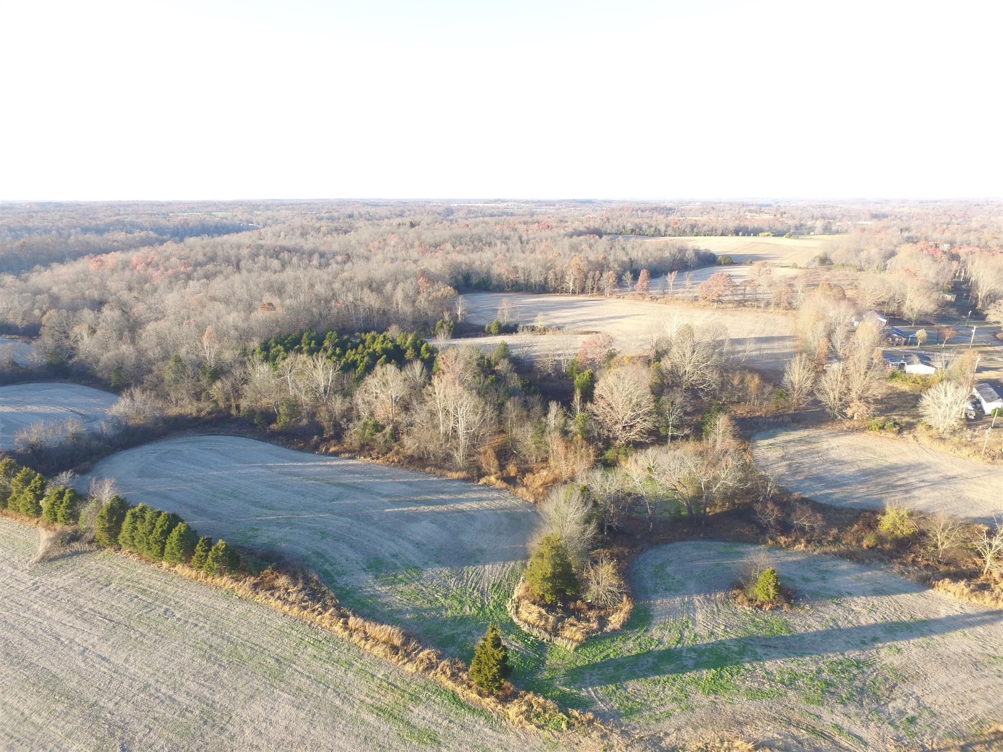 265 Pea Ridge Road Westmoreland, TN 37186 - Photo 9 of 19 Gallery Image 9