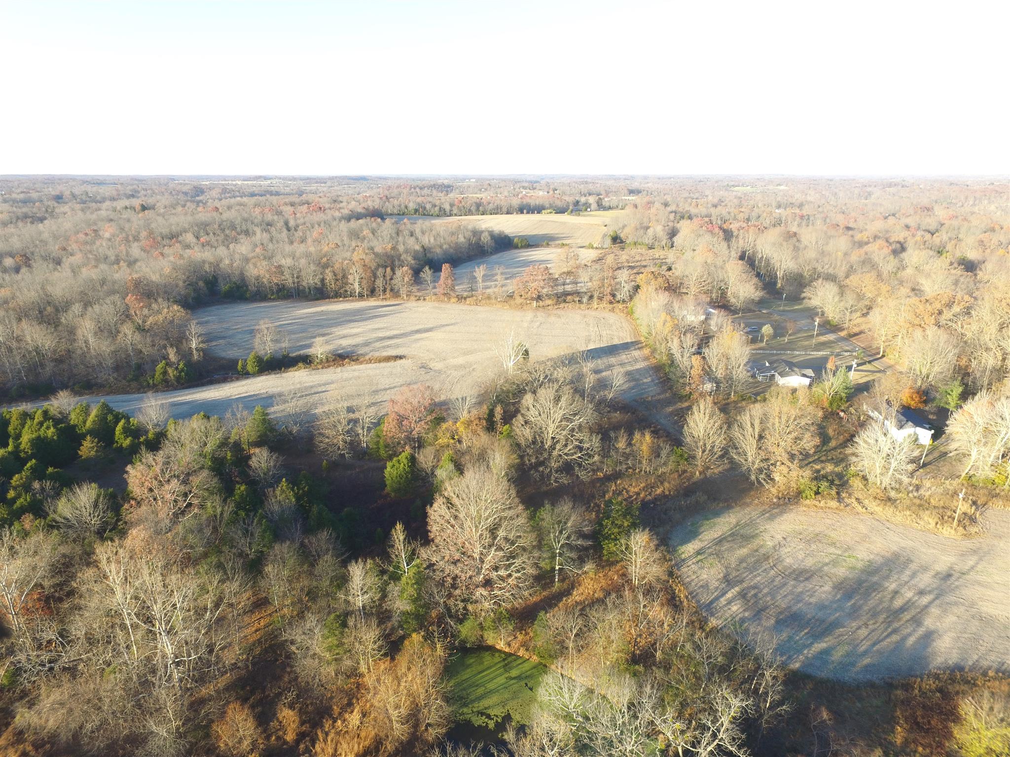 265 Pea Ridge Road Westmoreland, TN 37186 - Photo 10 of 19 Gallery Image 10