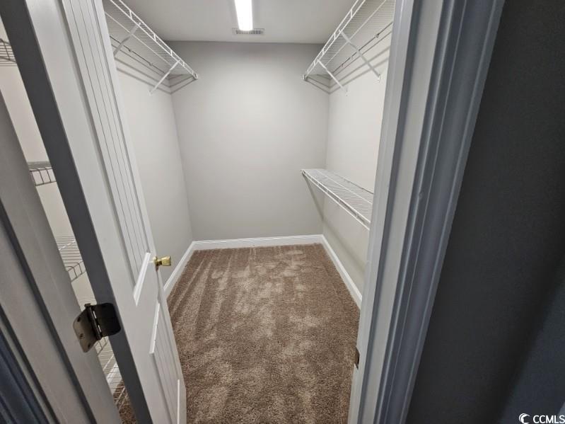 684 Rambler Court Myrtle Beach, SC 29588 - Photo 6 of 15 Spacious closet featuring carpet flooring