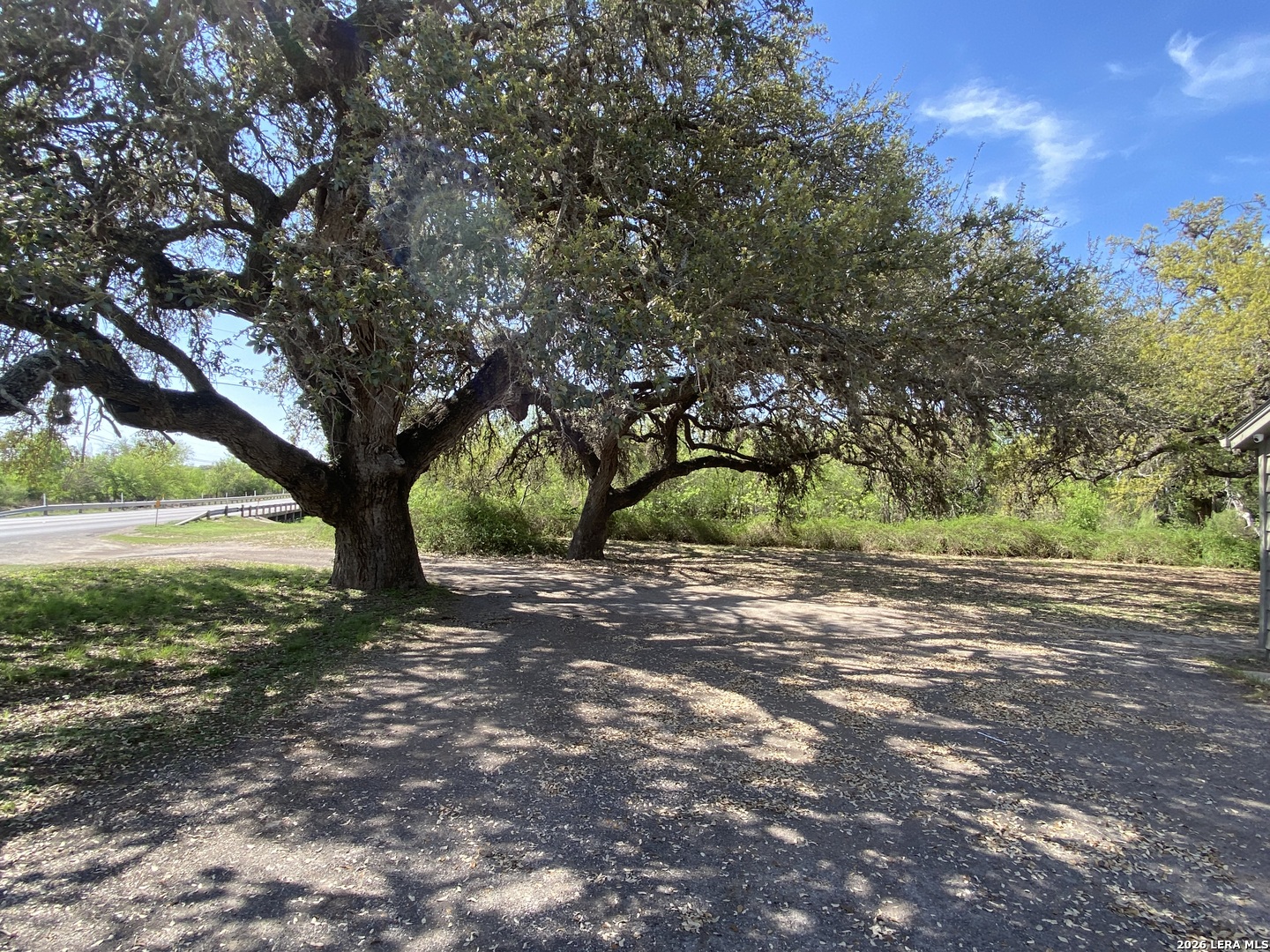 300 Ave M Hondo, TX 78861 - Photo 4 of 37 a view of a yard with a tree