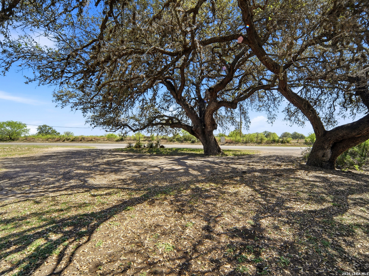 300 Ave M Hondo, TX 78861 - Photo 5 of 37 a view of a yard with an trees