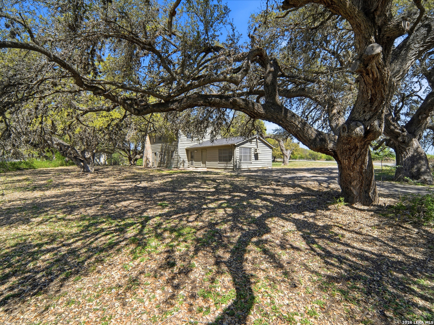 300 Ave M Hondo, TX 78861 - Photo 6 of 37 a view of outdoor space with deck and tree