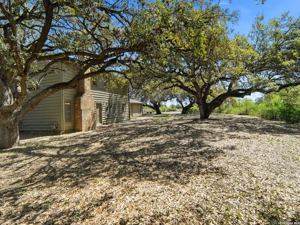 a view of a yard with a tree