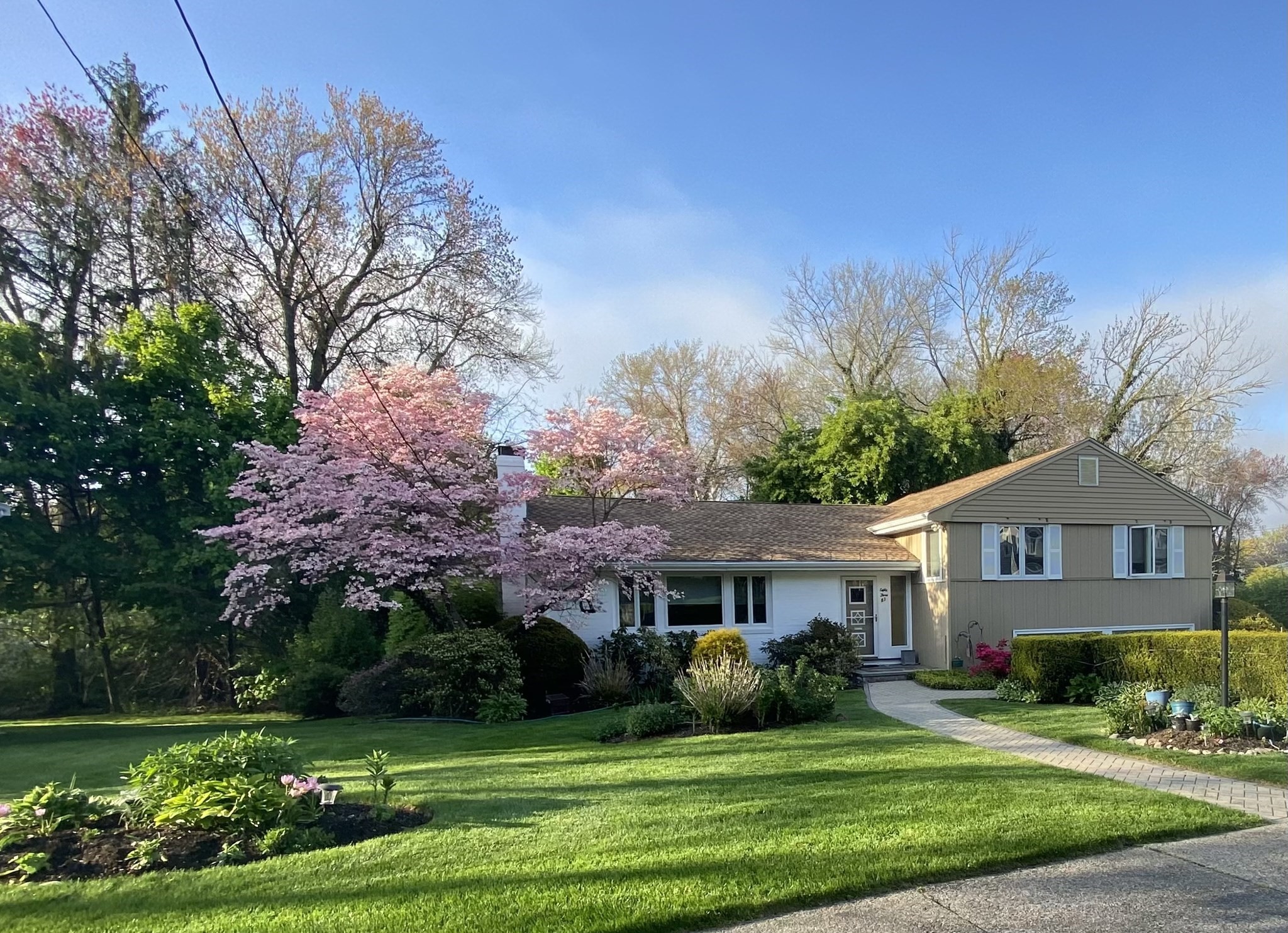 83 Bound Brook Road Newton, MA 02461 - Photo 1 of 21 Gallery Image 1