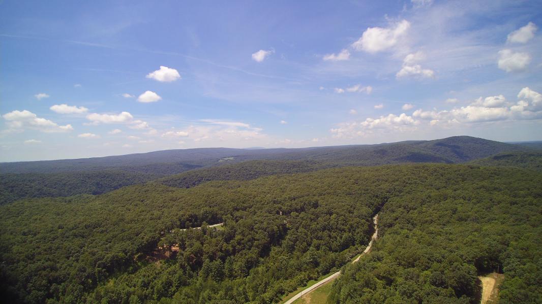 Lot 52 Homestead Hollow Road Lancing, TN 37770 - Photo 22 of 22 Aerial8