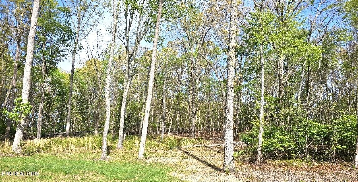 6230 Keck Road Knoxville, TN 37912 - Photo 2 of 2