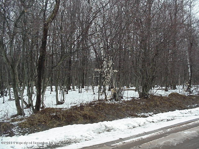 592 Svecz Road Thompson, PA 18465 - Photo 1 of 5 Front