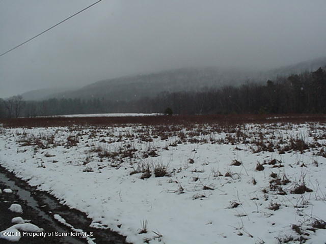 592 Svecz Road Thompson, PA 18465 - Photo 2 of 5 Across the road