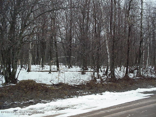 592 Svecz Road Thompson, PA 18465 - Photo 3 of 5 Front