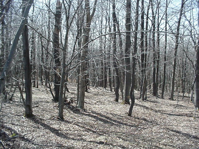 592 Svecz Road Thompson, PA 18465 - Photo 4 of 5 Land