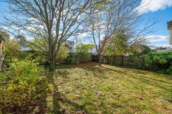 a view of a yard with plants and trees