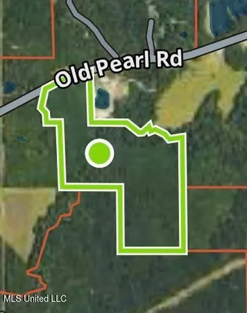 $518,375 | 0 Old Pearl Road, Florence, MS 39073