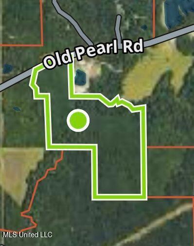 0 Old Pearl Road Florence, MS 39073 - Photo 2 of 6 Old Pearl Rd ...