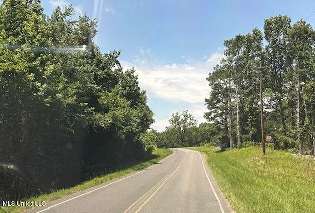 $572,000 | 0 Old Pearl Road, Florence, MS 39073