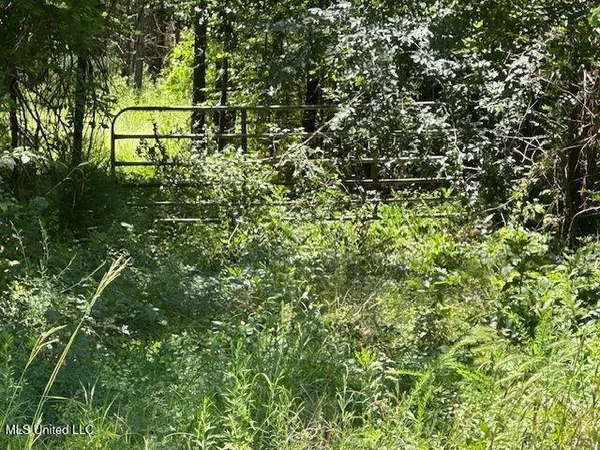$518,375 | 0 Old Pearl Road, Florence, MS 39073