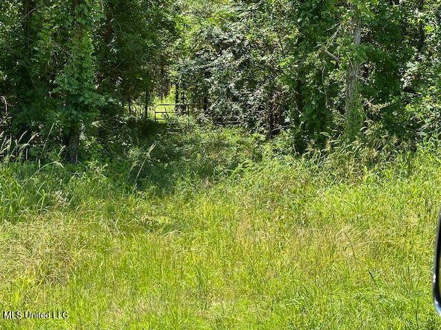 0 Old Pearl Road Florence, MS 39073 - Photo 6 of 6 old Pearl Rd .