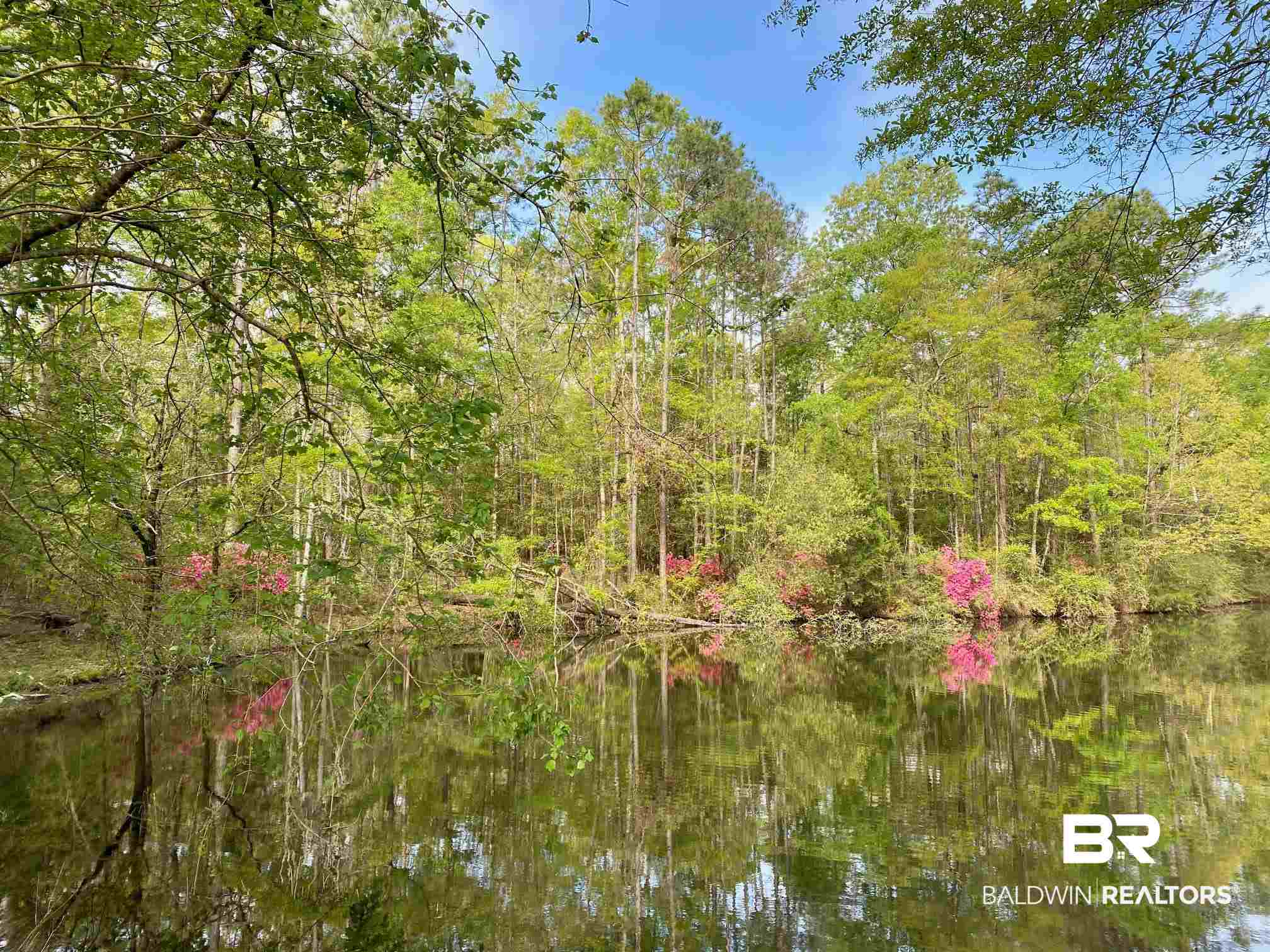 1069 Cemetery Road Range, AL 36473 - Photo 3 of 26