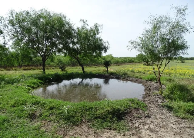 a view of a water pond with green yard