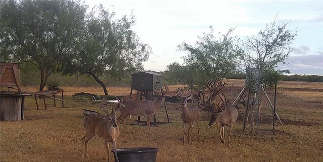 an outdoor space with seating