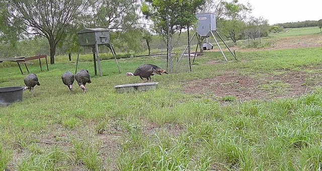 a view of a park with of swings