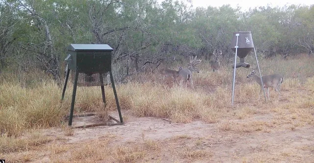 a view of a outdoor space