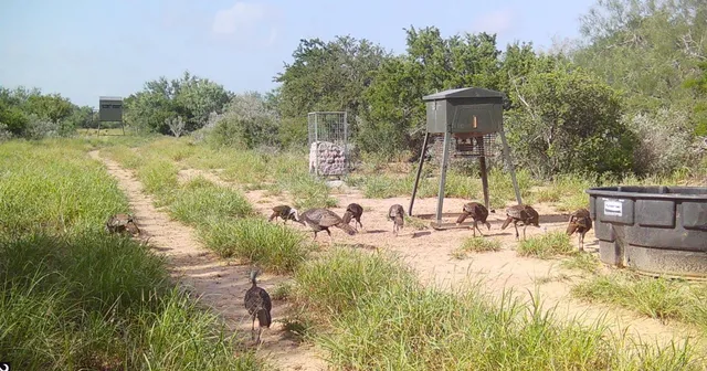 a view of a chair and tables in the patio next to a yard