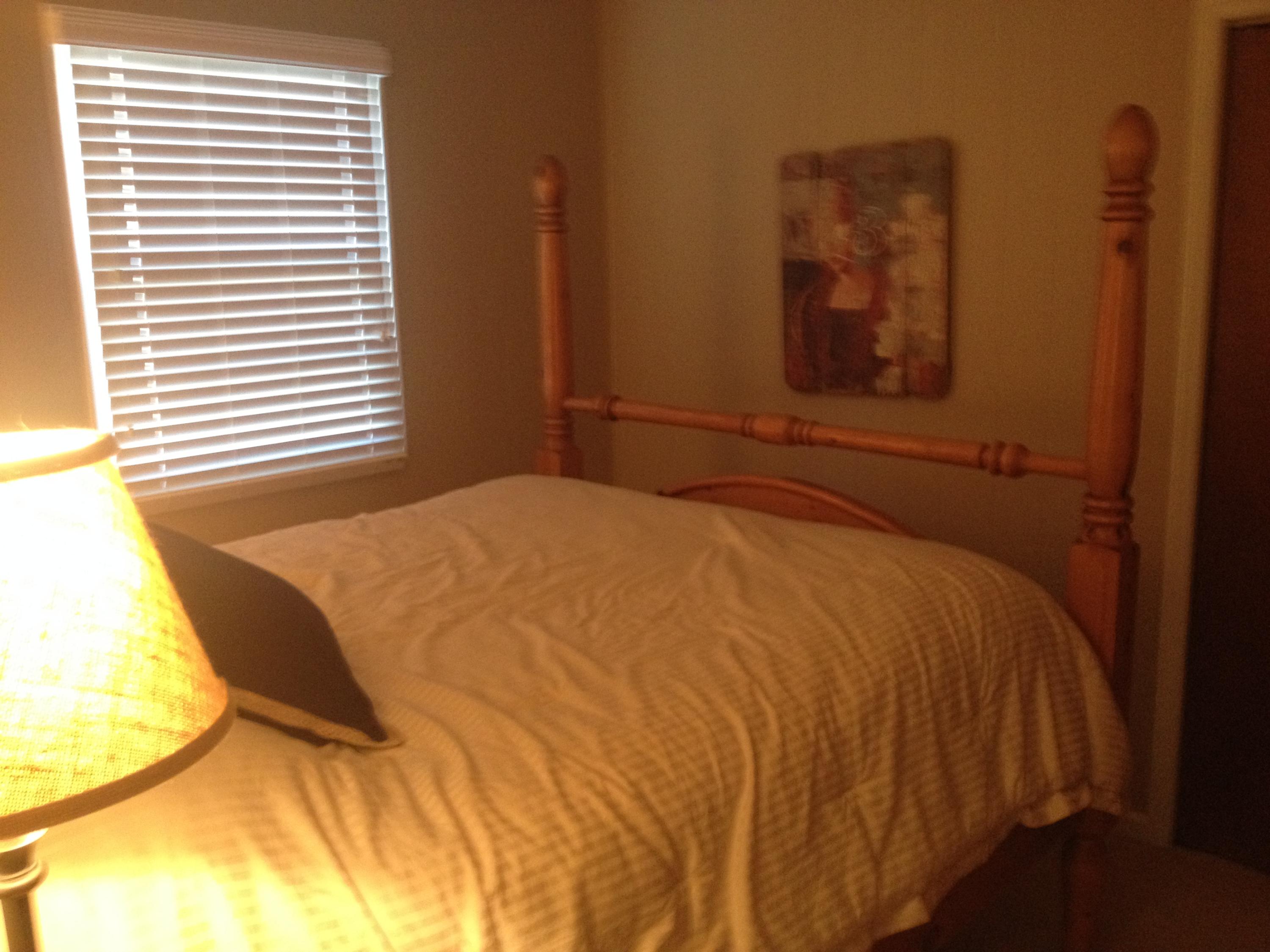 2354 Pine Ridge Road Huddleston, VA 24104 - Photo 14 of 16 Guest Bedroom