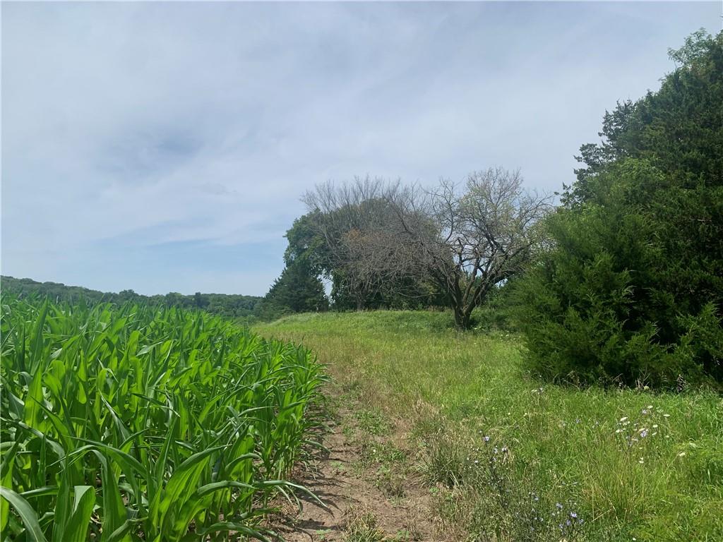 0 Faucett Road Centerville, KS 66014 - Photo 21 of 27