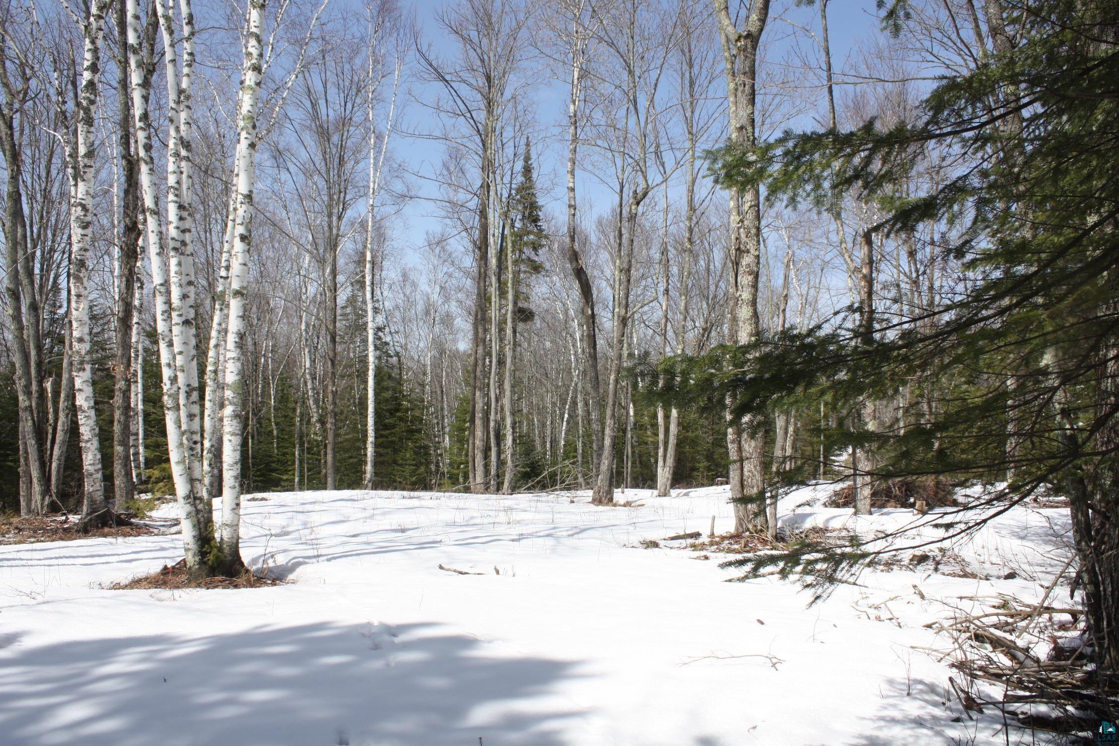 1046 East Middle River Road Poplar, WI 54864 - Photo 7 of 10
