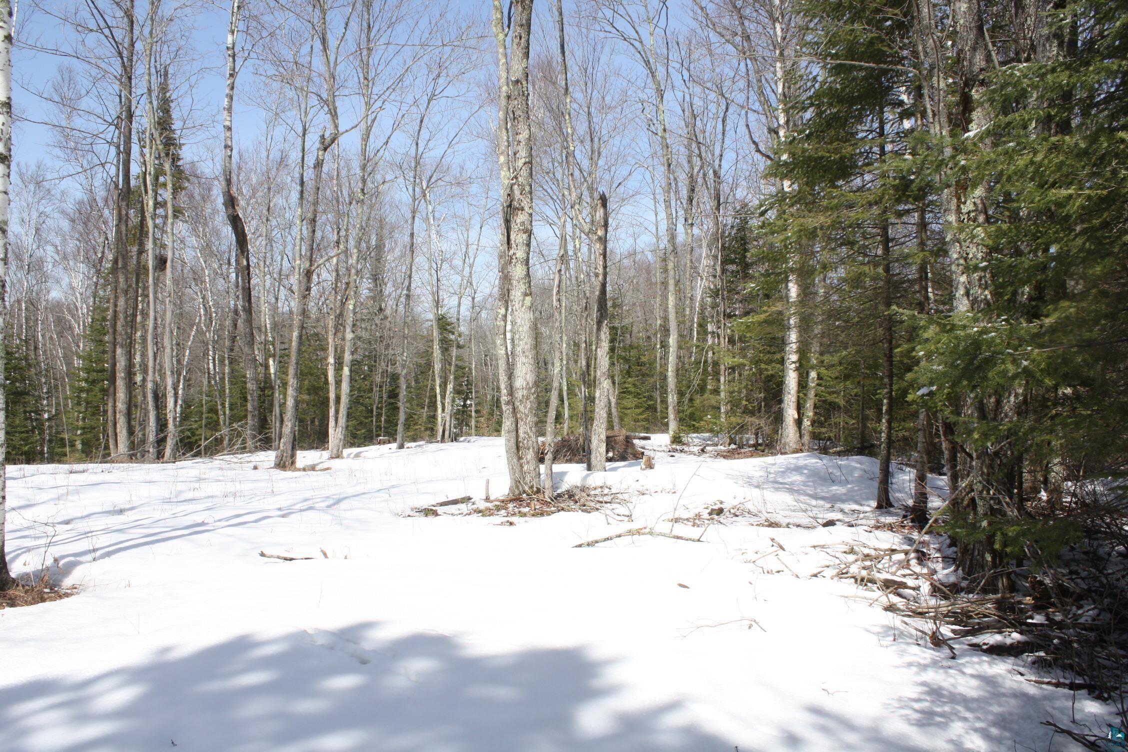 1046 East Middle River Road Poplar, WI 54864 - Photo 8 of 10