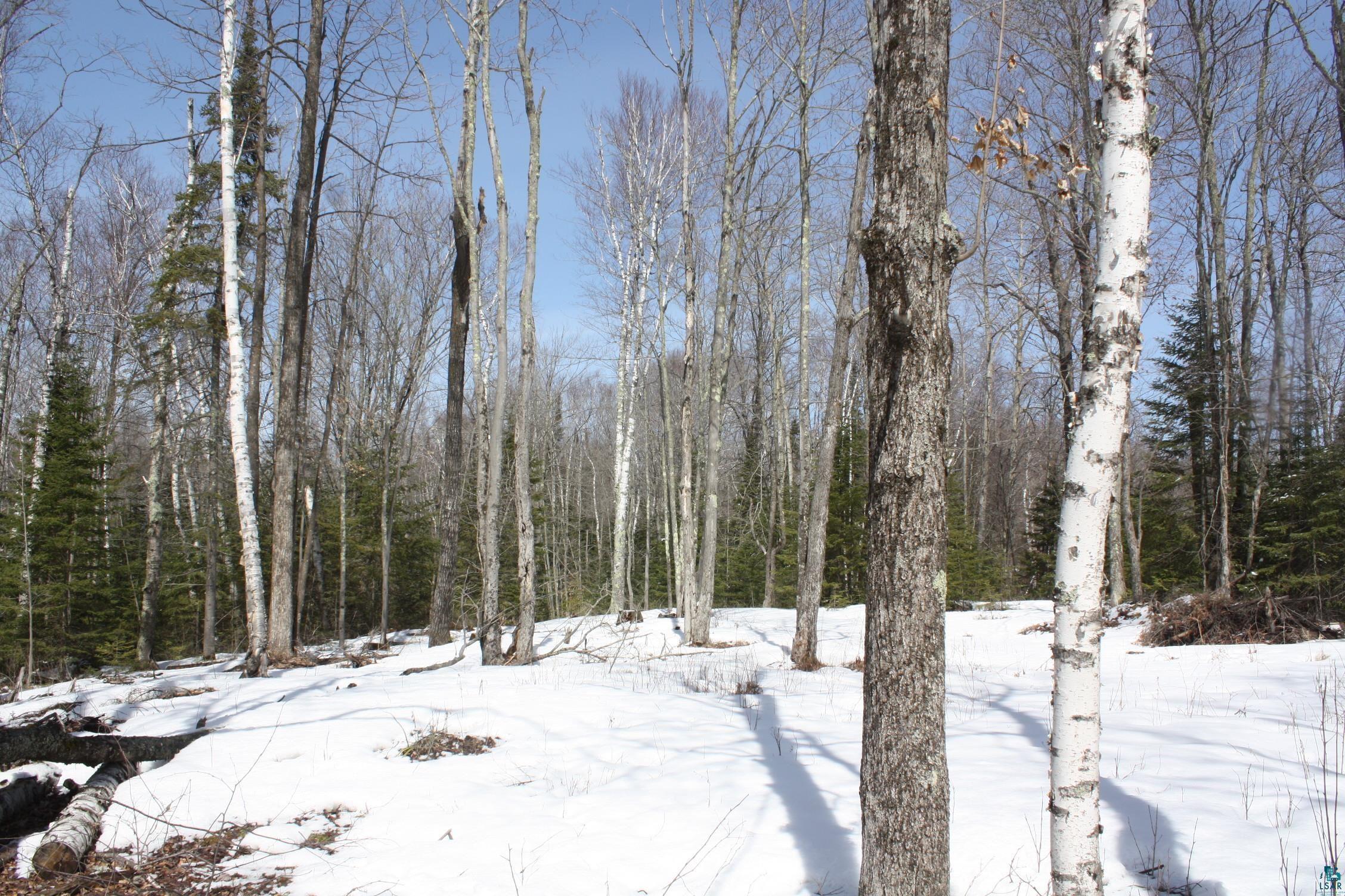 1046 East Middle River Road Poplar, WI 54864 - Photo 9 of 10