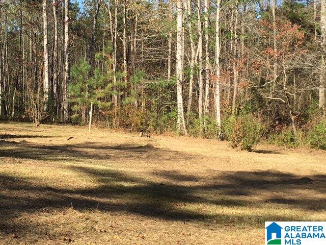 71 Sandcut Lane Nauvoo, AL 35578 - Photo 13 of 16