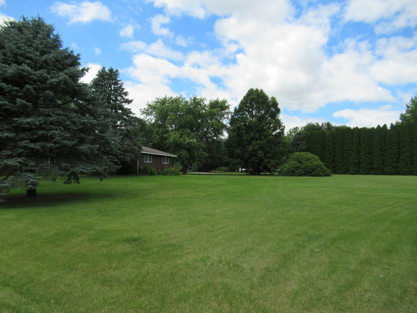 1N321 Country Life Drive Maple Park, IL 60151 - Photo 48 of 53