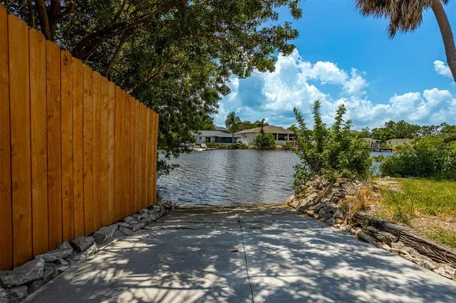 a view of a yard with plants and large trees