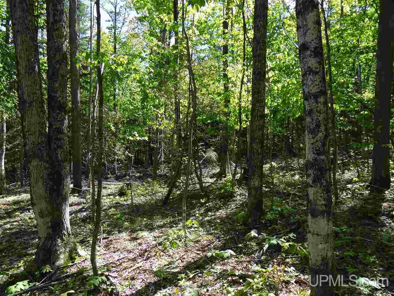 Tbd West Heinola Road Atlantic Mine, MI 49931 - Photo 14 of 17