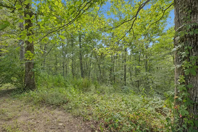 $330,000 | 243 Troy Lane, Hohenwald, TN 38462