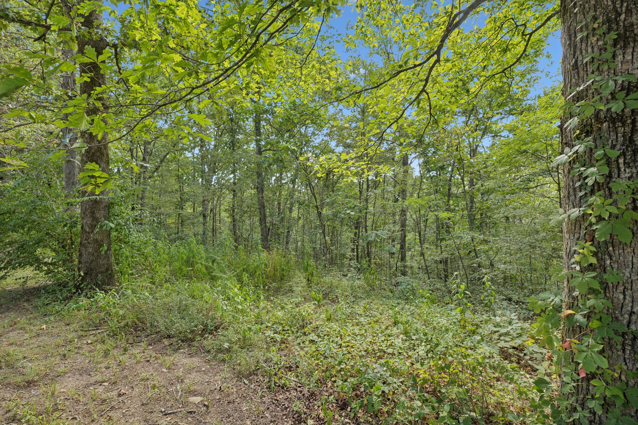 243 Troy Lane Hohenwald, TN 38462 - Photo 38 of 39