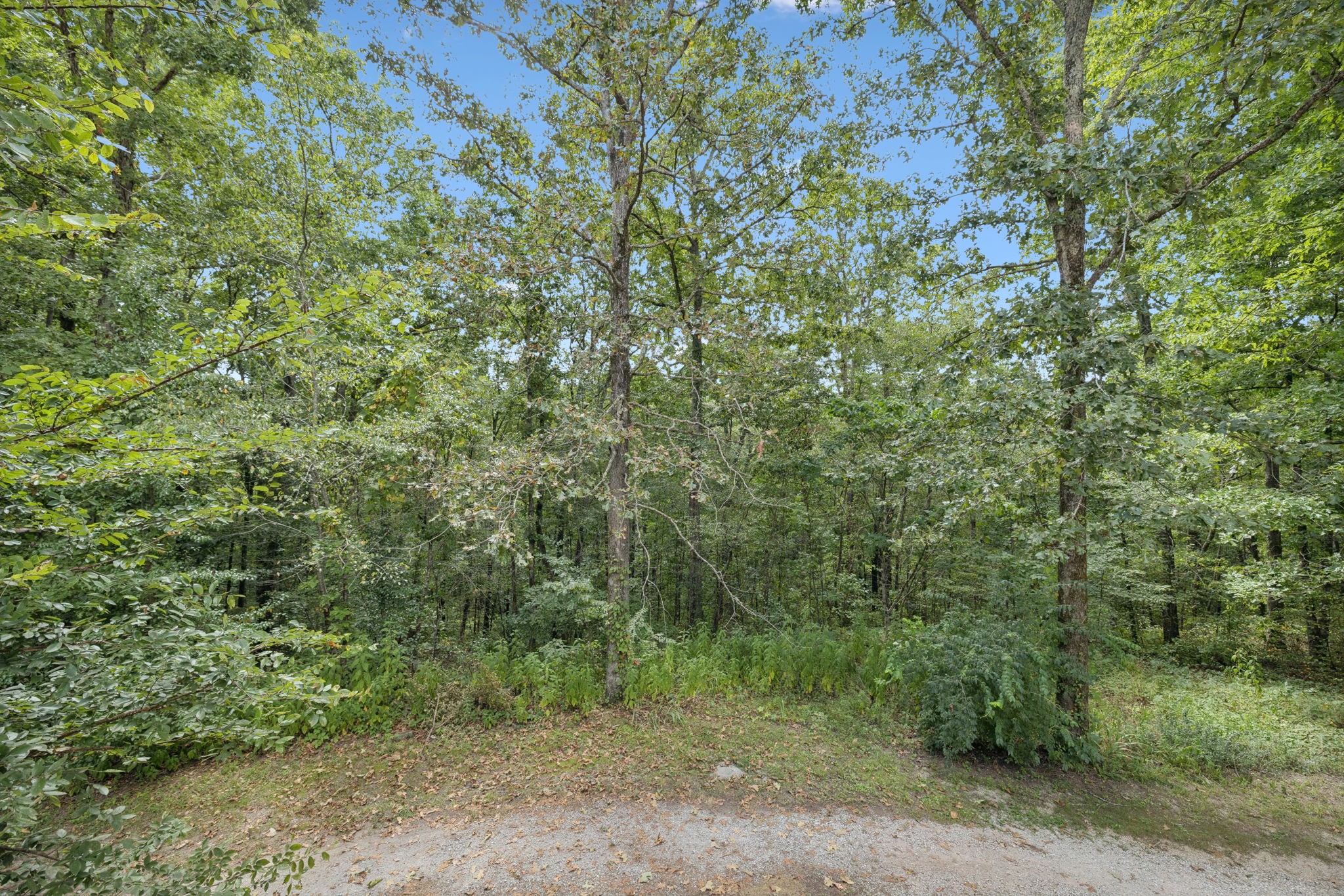 243 Troy Lane Hohenwald, TN 38462 - Photo 39 of 39