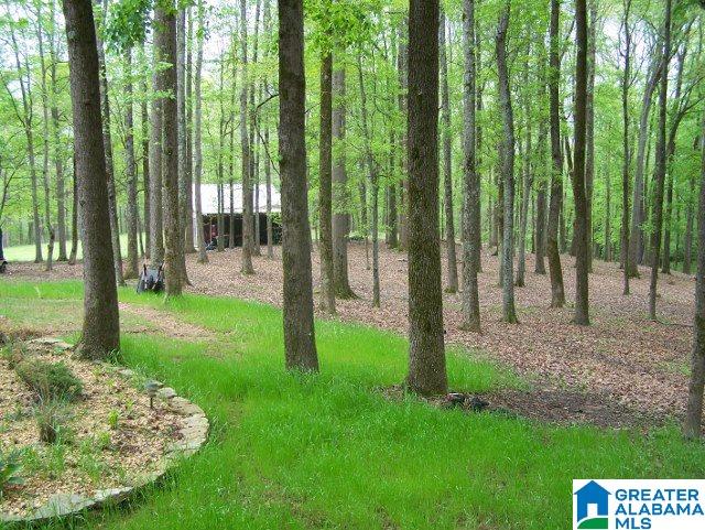 1109 County Road 8 Heflin, AL 36264 - Photo 6 of 34