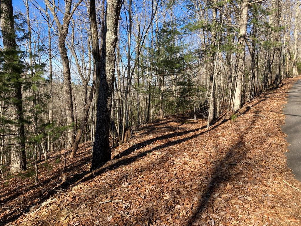 Lot 31 High Ridge Road Murphy, NC 28906 - Photo 1 of 4 Main View