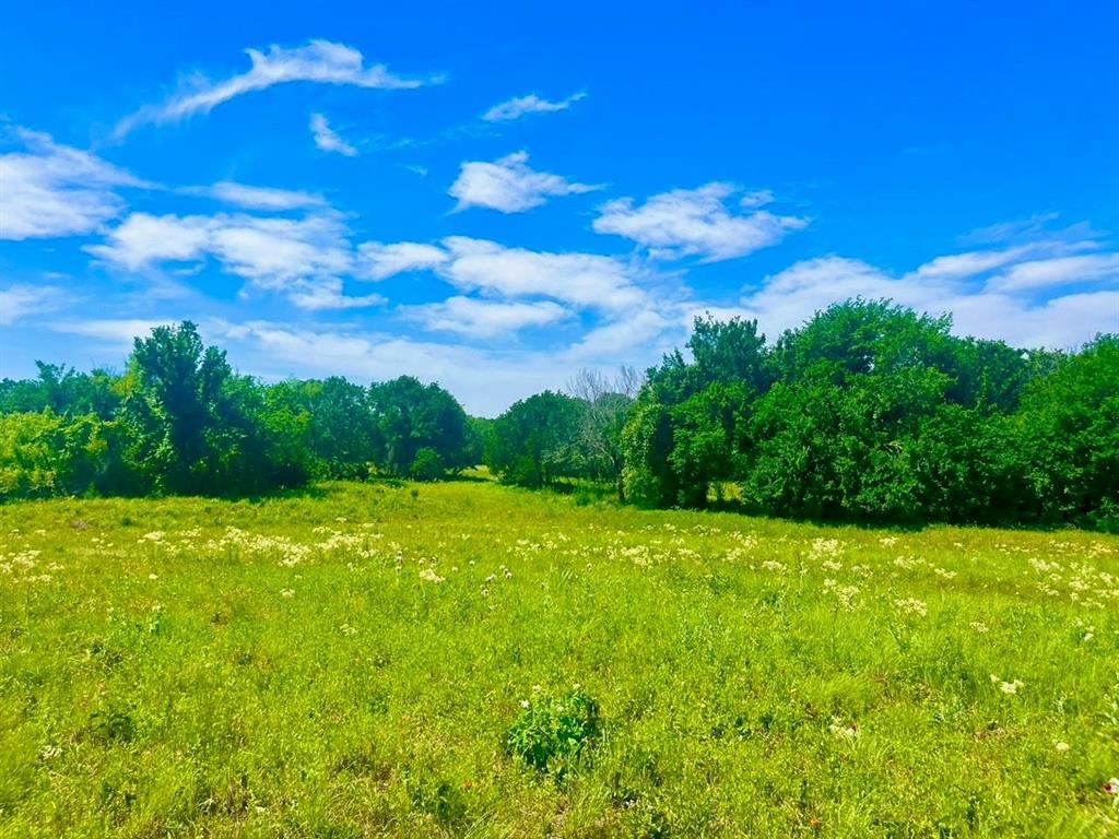 Lot 99 Arlow Road Poolville, TX 76487 - Photo 1 of 4 a view of a yard with a house in the background