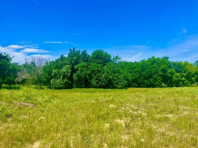 $113,000 | Lot 99 Arlow Road, Poolville, TX 76487