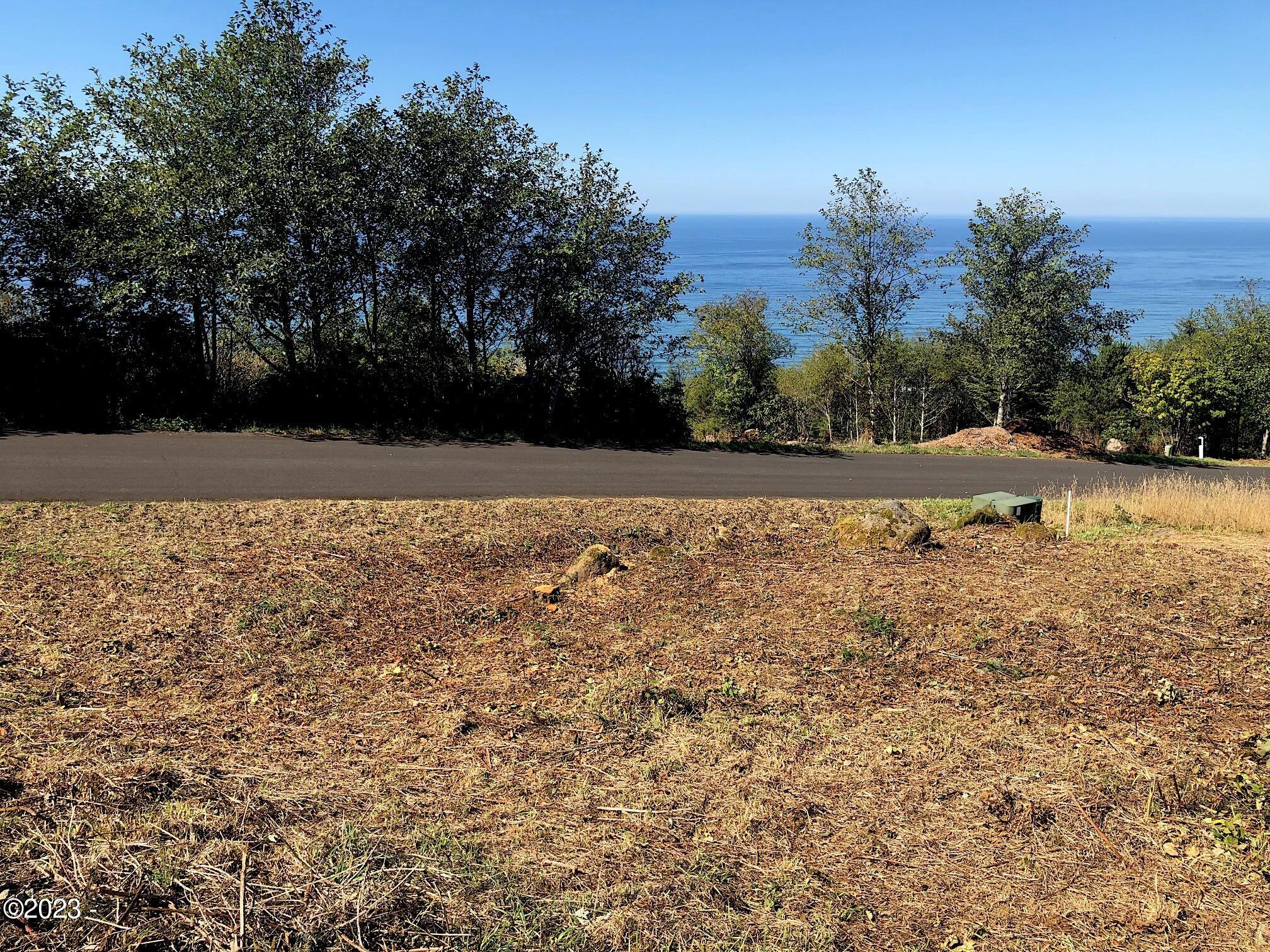 5400 Horizon Hill Road Yachats, OR 97498 - Photo 8 of 12 Recently cleared