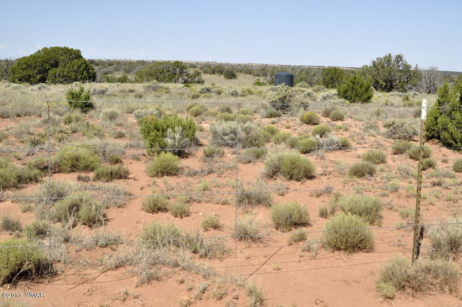 441 Woodridge Ranch Concho, AZ 85924 - Photo 11 of 11